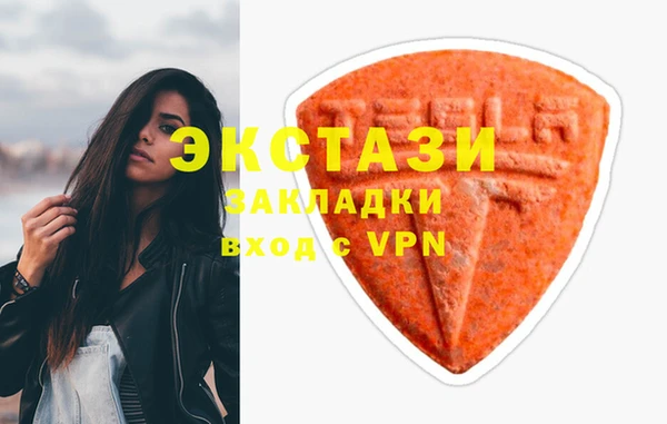 крисы Кулебаки