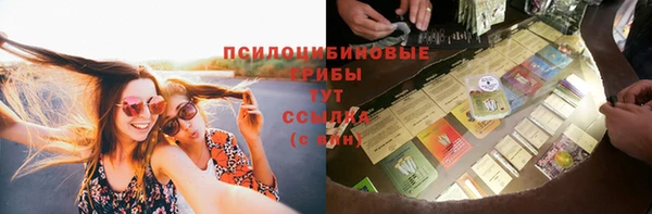 твердый Краснослободск
