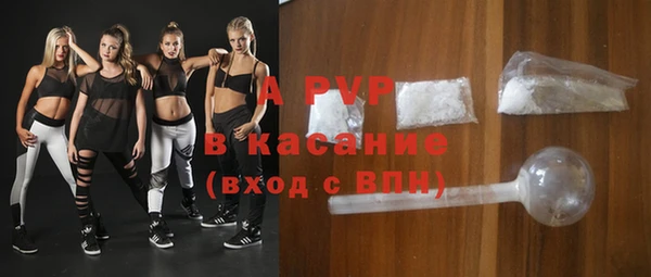 твердый Краснослободск