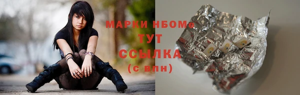 твердый Краснослободск