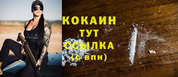 твердый Краснослободск