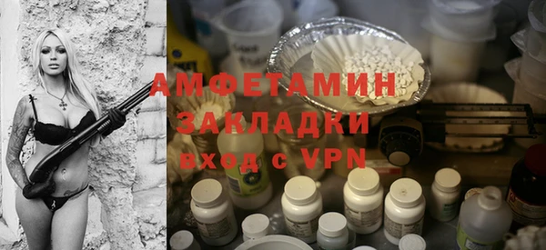 твердый Краснослободск