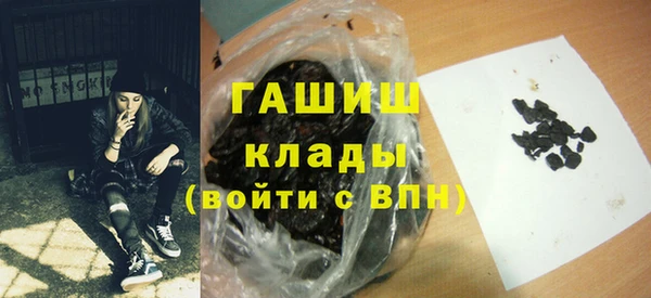 крисы Кулебаки
