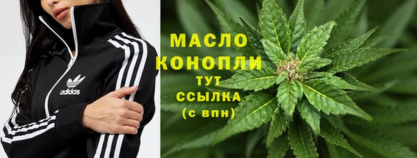 твердый Краснослободск