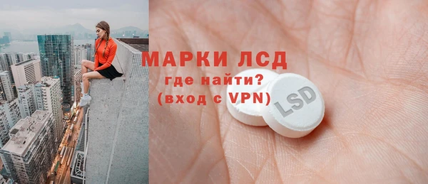 твердый Краснослободск