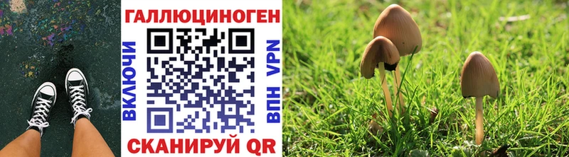 наркошоп  Энгельс  Псилоцибиновые грибы ЛСД 