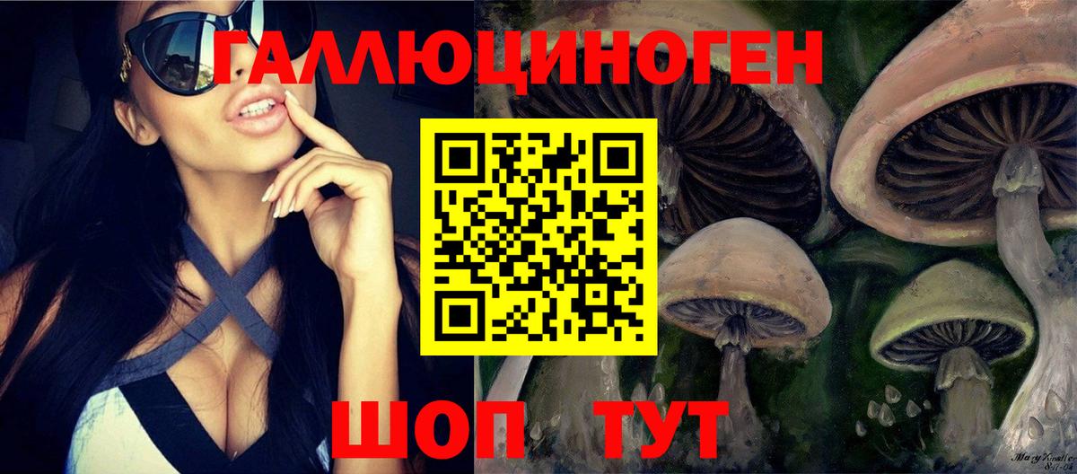 Псилоцибиновые грибы Psilocybe  Вход с VPN  Энгельс 