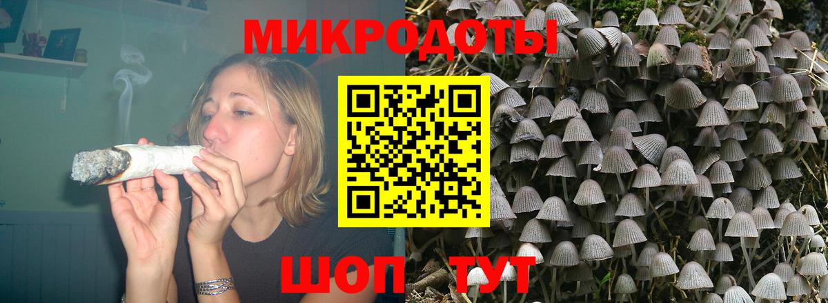 Галлюциногенные грибы мицелий Энгельс