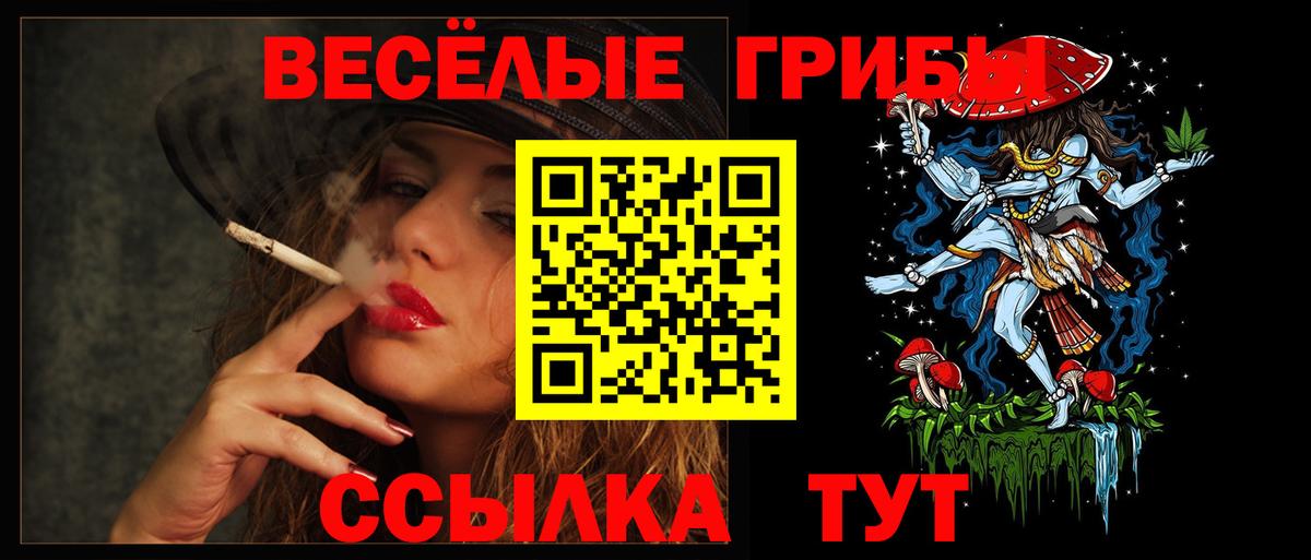 Псилоцибиновые грибы мухоморы  Энгельс 